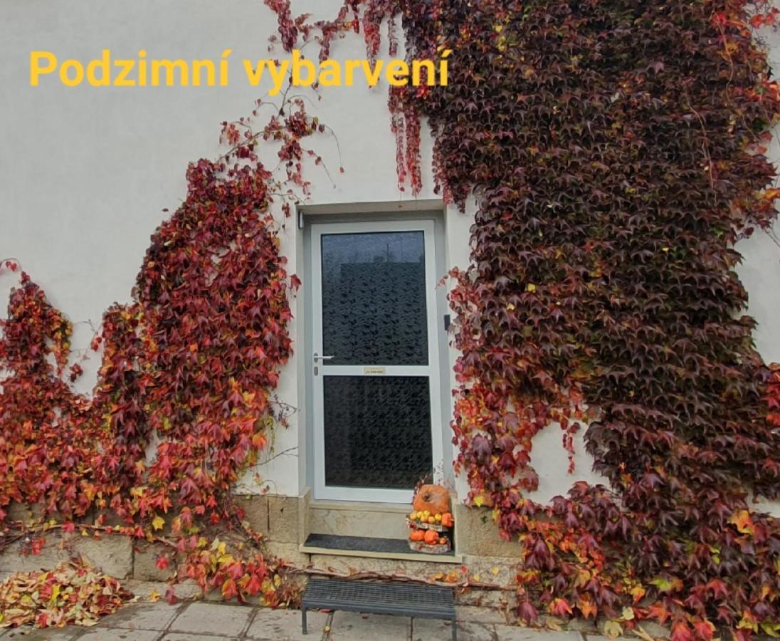 Apartman U Jakuba Dvur Kralove nad Labem Ngoại thất bức ảnh